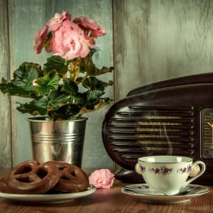 Tribina “Kako postati udomitelj”