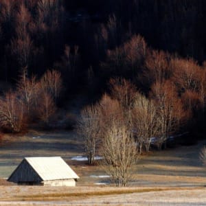 Pričamo priču