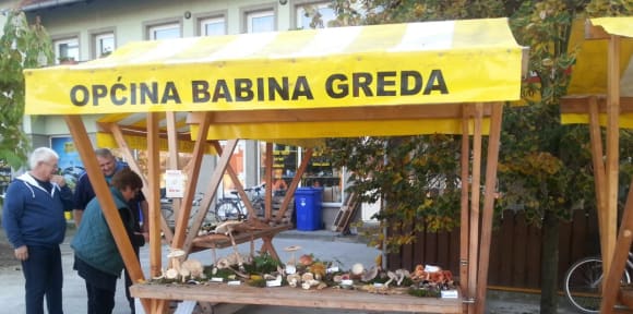 Na izložbi gljiva