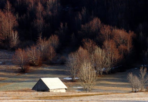 Pričamo priču
