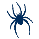 visitorTeamImage