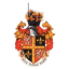 localTeamImage