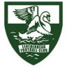 teamImage