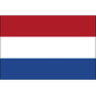 teamImage