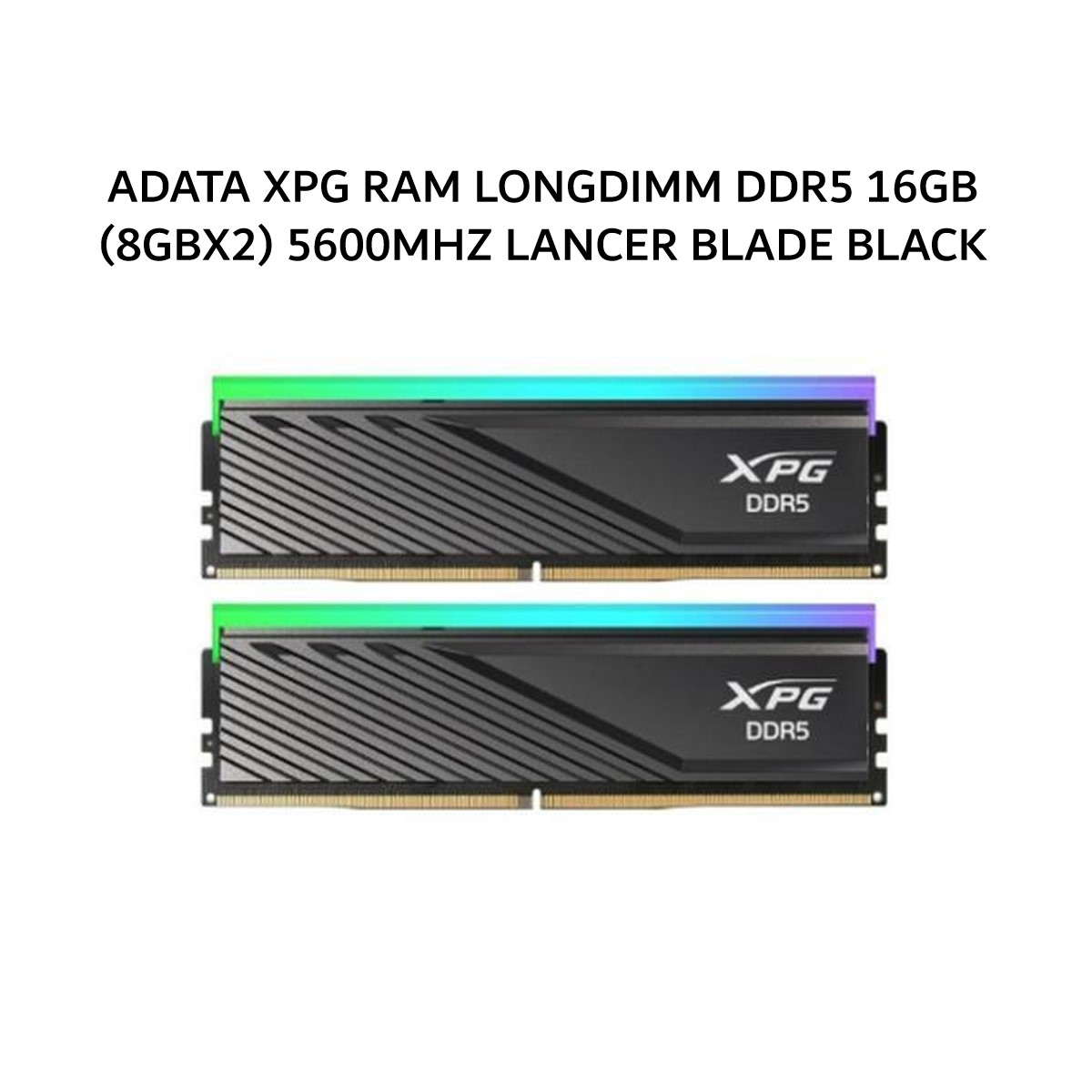 ADATA XPG RAM LONGDIMM DDR5 16GB (8GBX2) 5600MHZ LANCER BLADE 