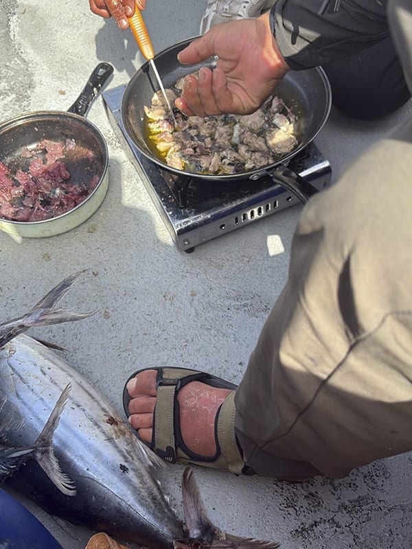 La nova vida dels narcos en alta mar, amb llanxes des d'Itàlia i cuiners a bord: "Ens posa la torrada i ens guisa el que pesquem"