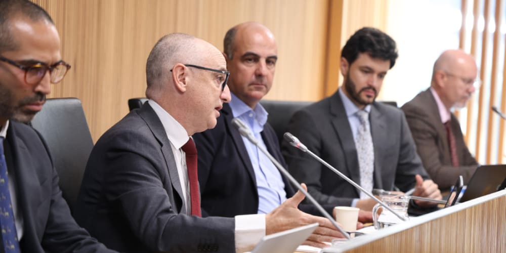 Escalé posa en dubte el creixement econòmic del país i denuncia que el deute ha augmentat 300 milions amb DA