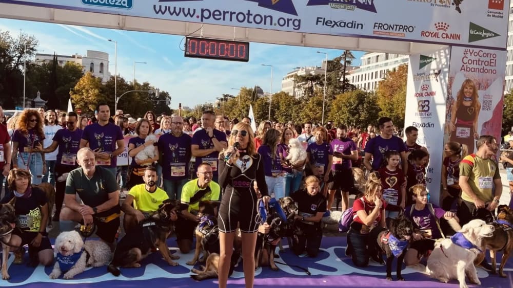 Gossos, esport i música: Madrid Dog Fest i Perrotón, demà a La Zarzuela
