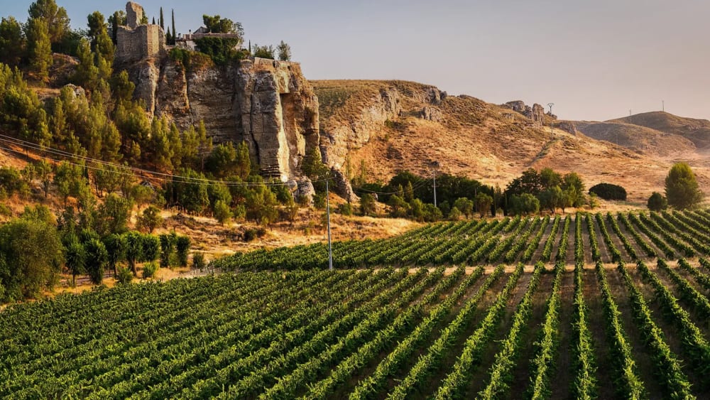 Enoturismo per a gaudir dels Vins de Madrid