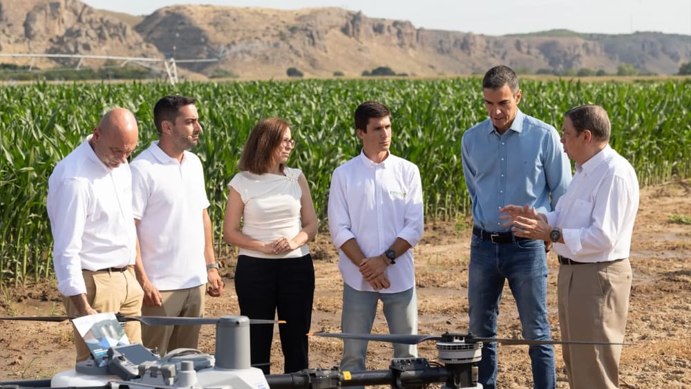 La situació d'algunes finques rústiques i el 29-N compliquen la principal promesa de Sánchez als joves agricultors
