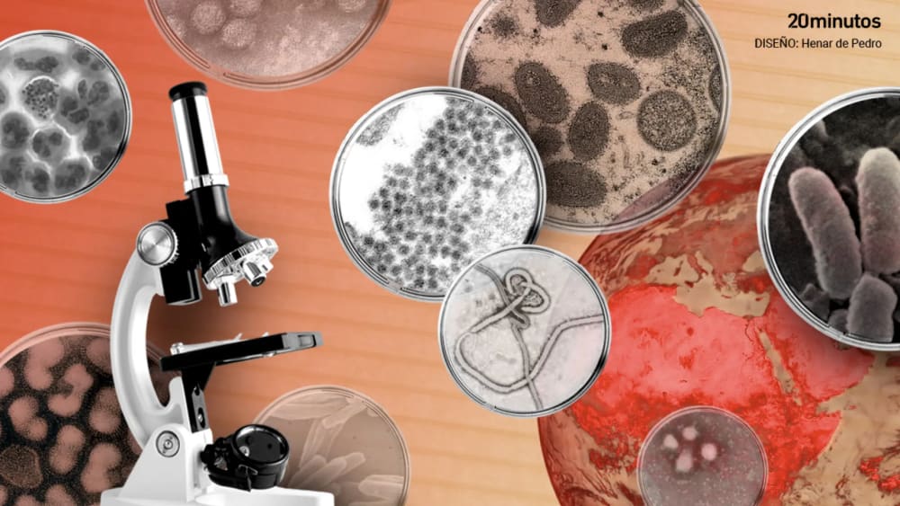 Hantavirus, tuberculosi, mpox... Les deu infeccions que poden canviar el món en una dècada