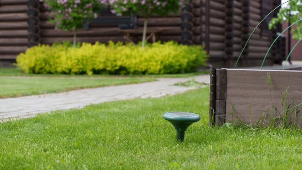 Adéu a les rates i altres rosegadors: el dispositiu solar de Amazon per a jardí i garatge