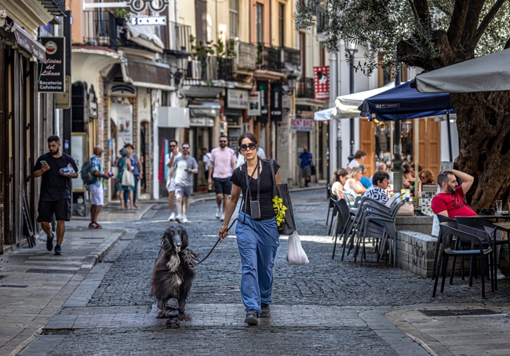València comença a multar amb fins a 1.500 euros a qui llanci burilles al carrer o no reculli els excrements de les seves mascotes