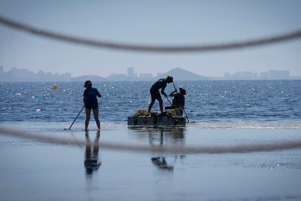 El Tribunal d'Estrasburg aclareix que no ha avalat la “personalitat jurídica ecològica” de la Mar Menor