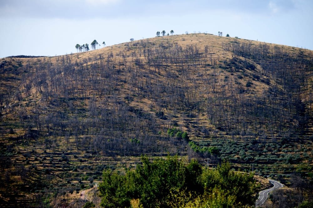 L'incendi de Begís, que va cremar 18.538 hectàrees en 2022, va contaminar més que la ciutat de València en un any
