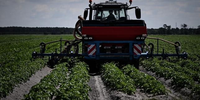 Biodiversitat: França presenta un pla de restauració de la naturalesa sense ambició i sota-finançat