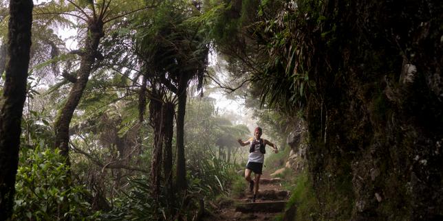 La Diagonal dels bojos, gegant de l'ultra-trail i locomotora turística a la Reunió, davant els reptes mediambientals