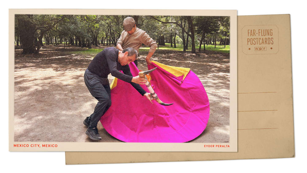 Salutacions de Ciutat de Mèxic, on una prohibició d'arbuss no atura aquesta formació d'afectors