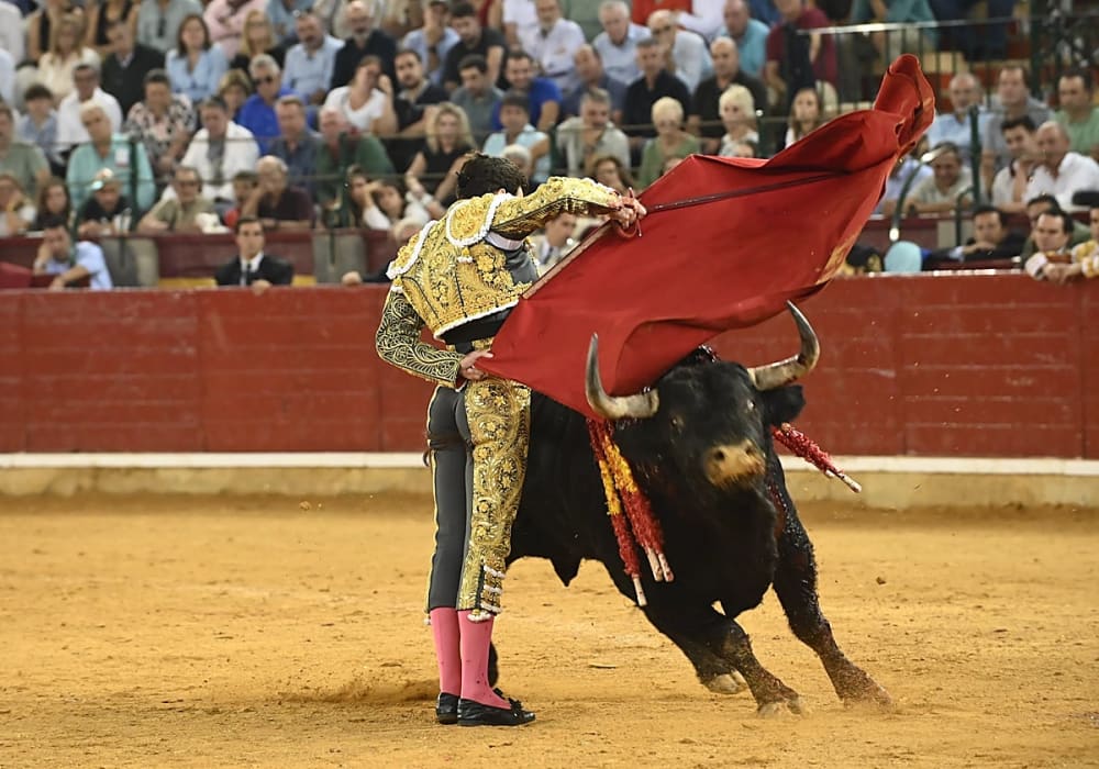 Les mitjanes negres mai van donar tardes de toros
