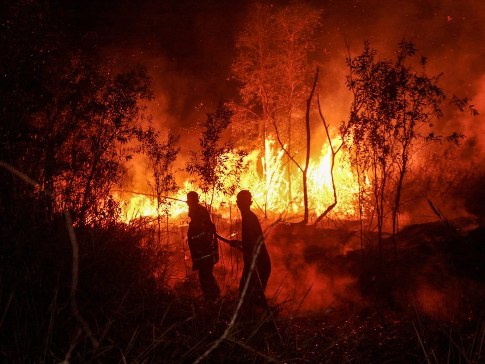 Quatre morts mentre Indonèsia lluitava pitjor incendis boscos en més d'una dècada.