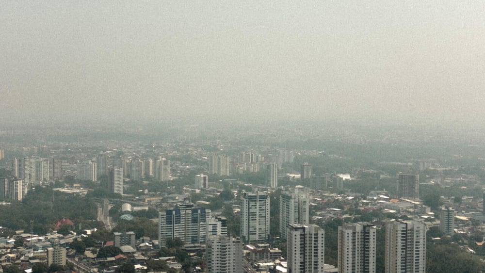 Incendis en Amazzonia brasilera, a Manaus col·legis tancats pel fum