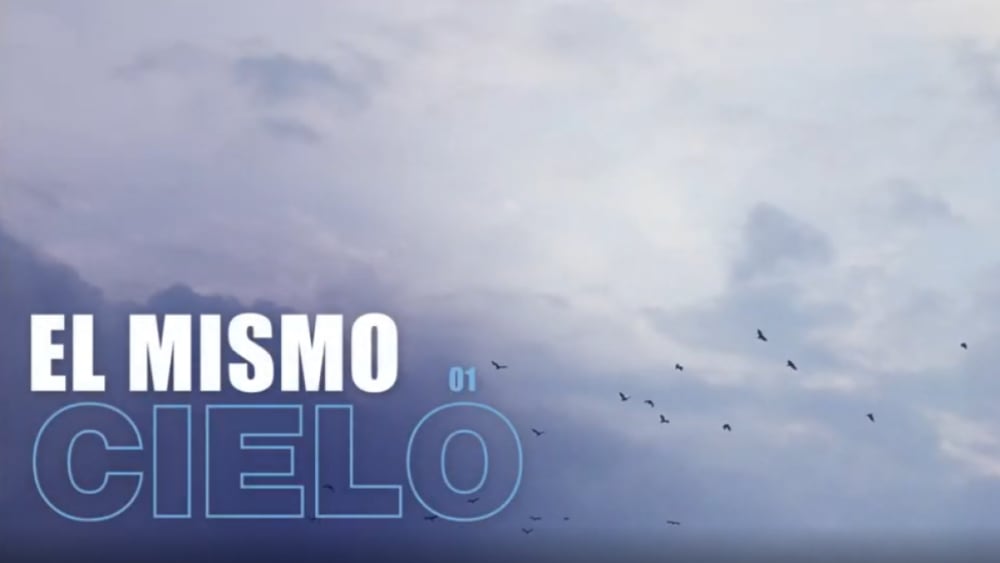 El mateix cel: com protegir als ocells en un país clau per a la biodiversitat europea