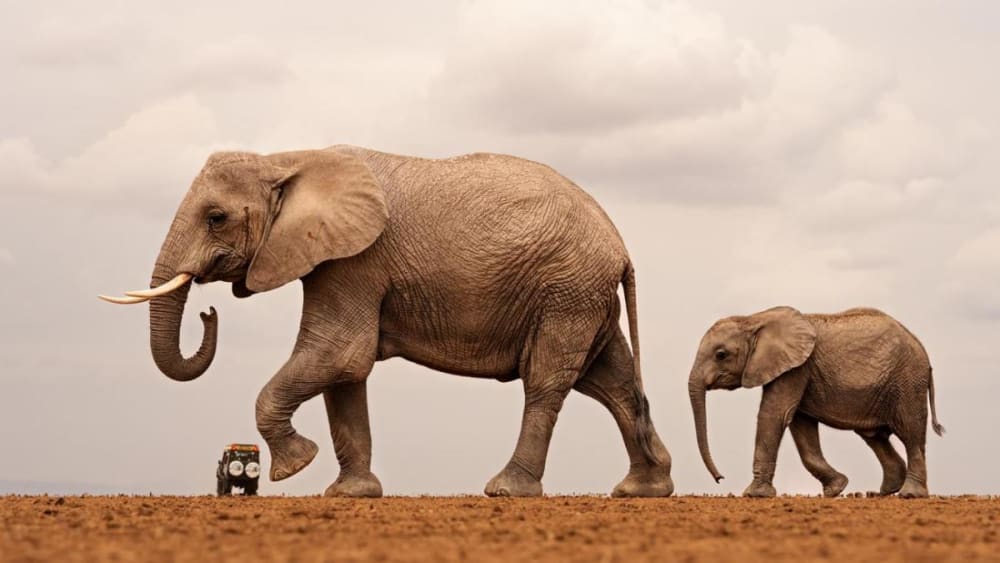 Les millors fotos de viatges i aventures segons els Siena Photo Awards 2026