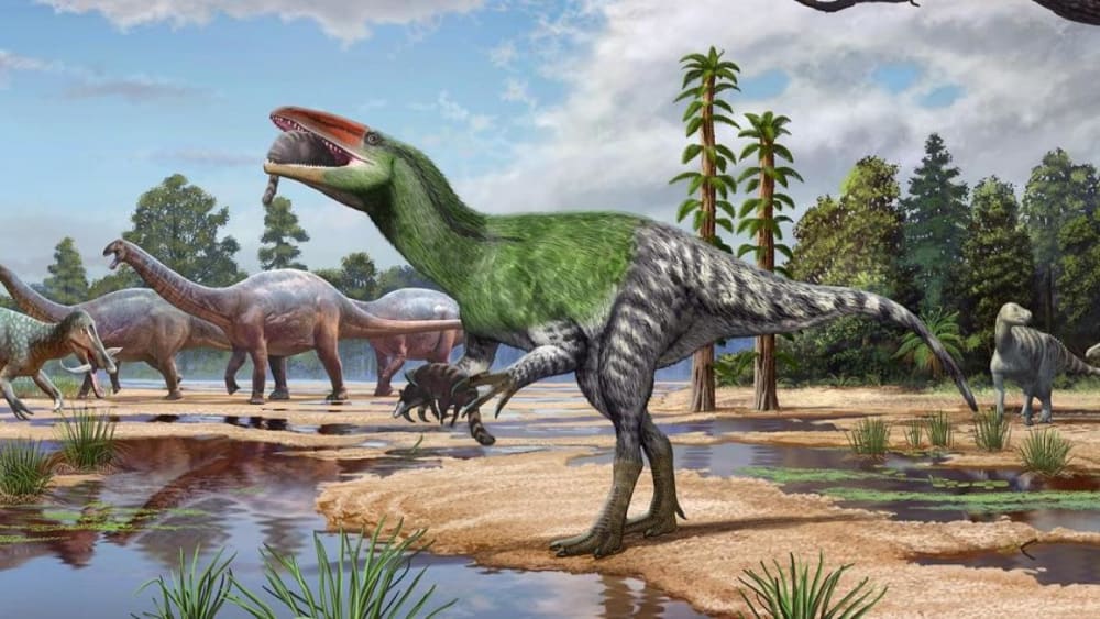 Un fòssil trobat a l'Illa de Wight en 1924 permet il·luminar a un 'parent' desconegut del Tiranosaure Rex
