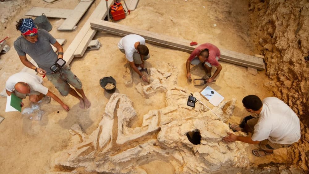Restes de fusta de fa més de 40.000 anys trobats a Barcelona revelen que els neandertals van ser experts fusters