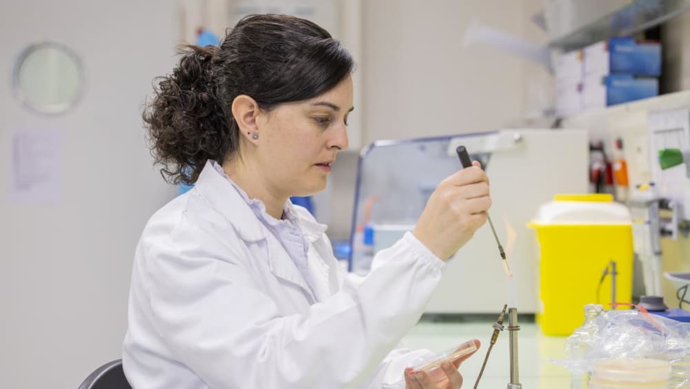 Nanorrobots, bovines i salut mental entre els 80 projectes científics impulsats per la Fundació ”la Caixa”