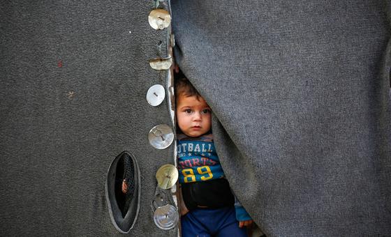 Consell de Seguretat LIVE: Deaths, llança de demolició a Gaza, Banc Oest