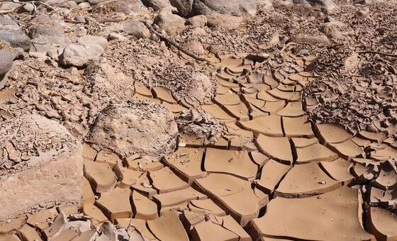 El Nen guanya força a Amèrica Llatina: sequera, fam i risc d'inundacions marquen els pròxims mesos