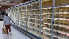 Un ciberatac contra neveres i congeladors de centenars de supermercats de França provoca pèrdues milionàries