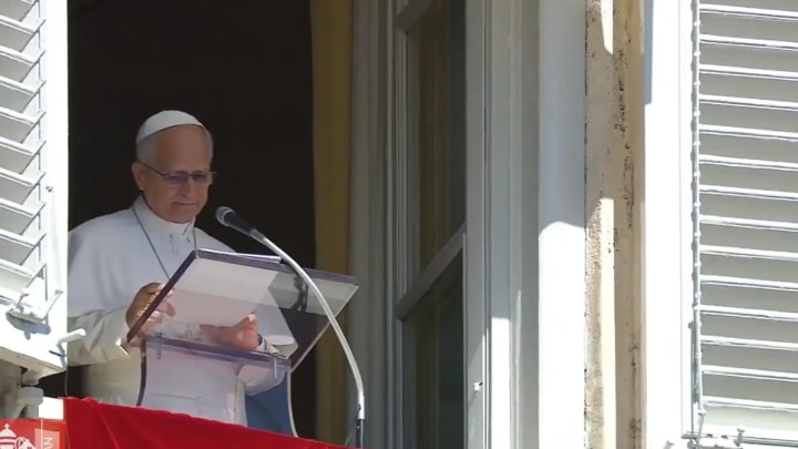 El papa anuncia que haurà de #operar d'un nòdul en el pulmó en fase "molt inicial"