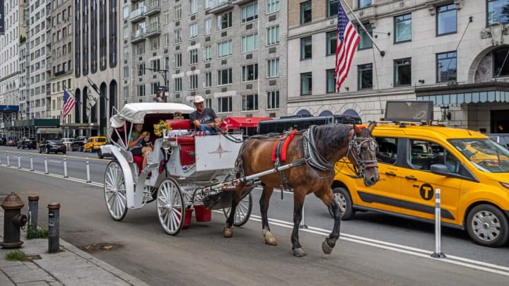 Els mítics carruatges de Nova York tenen els dies comptats: la ciutat planeja prohibir-los en 2028