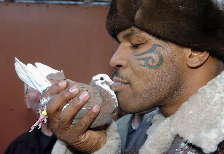 Mike Tyson, demandat per 1,8 milions d'euros per trencar el seu contracte en #negar a barallar contra un colom gegant en un anunci