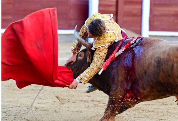 Álvaro Serrano, ferit greu en la seva arriscada i deslluït parany