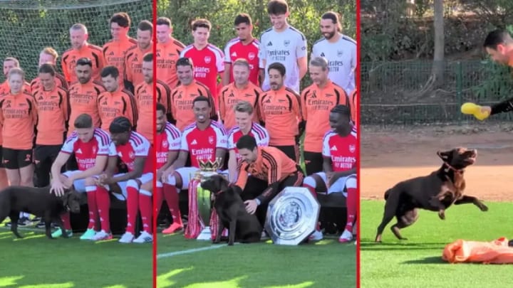 Win, el gos adoptat per Arteta, roba el protagonisme a la foto oficial de l'Arsenal