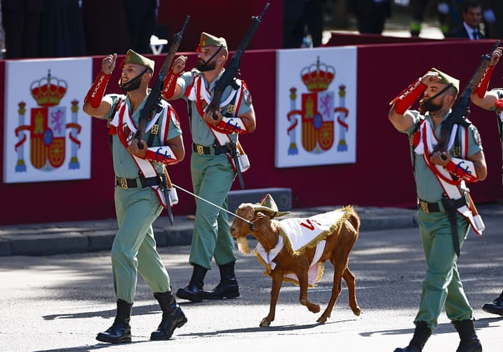 Defensa obre una recerca a un grup de legionaris que van ovacionar a Vito Quiles