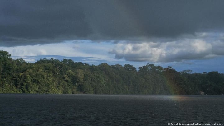 La desforestació a l'Amazònia brasilera cau al nivell més baix en gairebé 40 anys