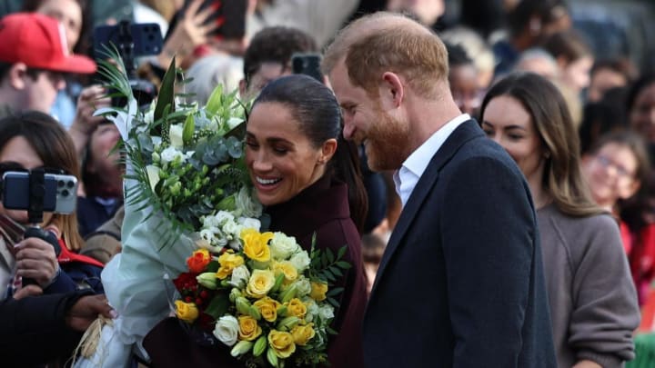 Els Sussex estrenen agenda pública al Regne Unit al marge de la família reial britànica