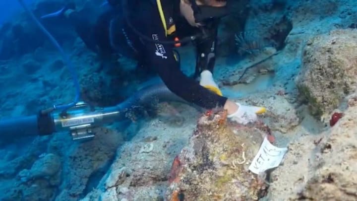 Trobat el naufragi més antic del món en la costa de Turquia
