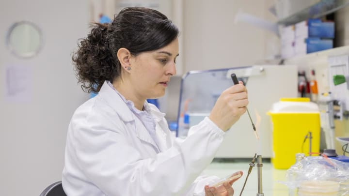 Nanorrobots, bovines i salut mental entre els 80 projectes científics impulsats per la Fundació ”la Caixa”