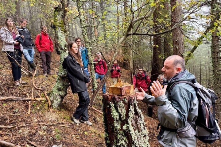 El Parc Nacional d'Aigüestortes té els millors boscos madurs de Catalunya i de l'Estat espanyol