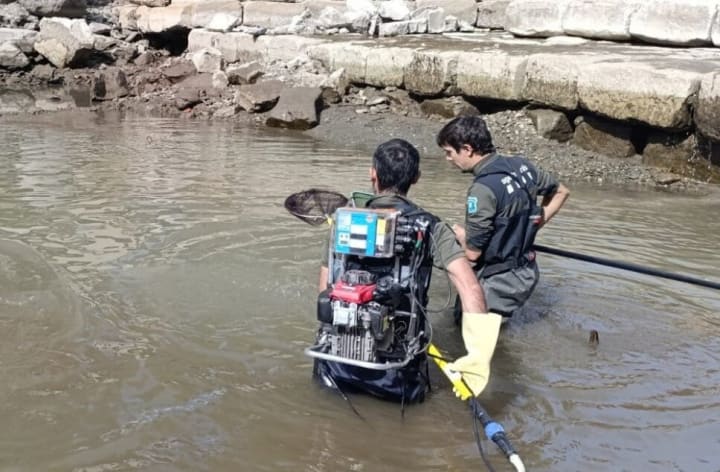 Rescat piscícola a Sort: salven els peixos autòctons de la Noguera Pallaresa afectats per les obres del camp de regates
