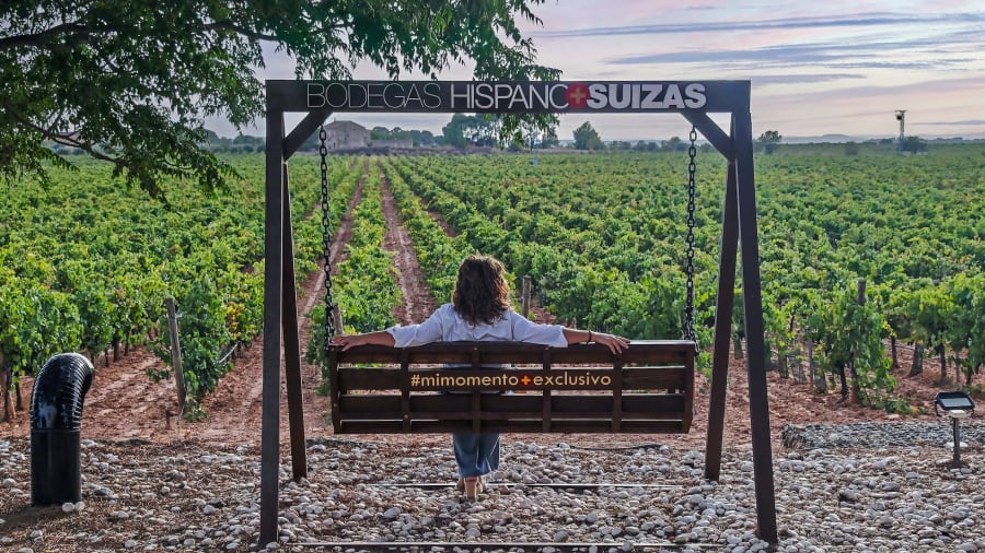 Un banco-columpio con vistas a las vides en las bodegas Hispano Suizas. ANDRÉS CAMPOS