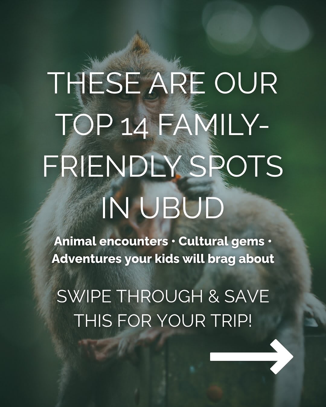 Discover Family Adventures in Ubud Beyond Rice Terraces — image 2