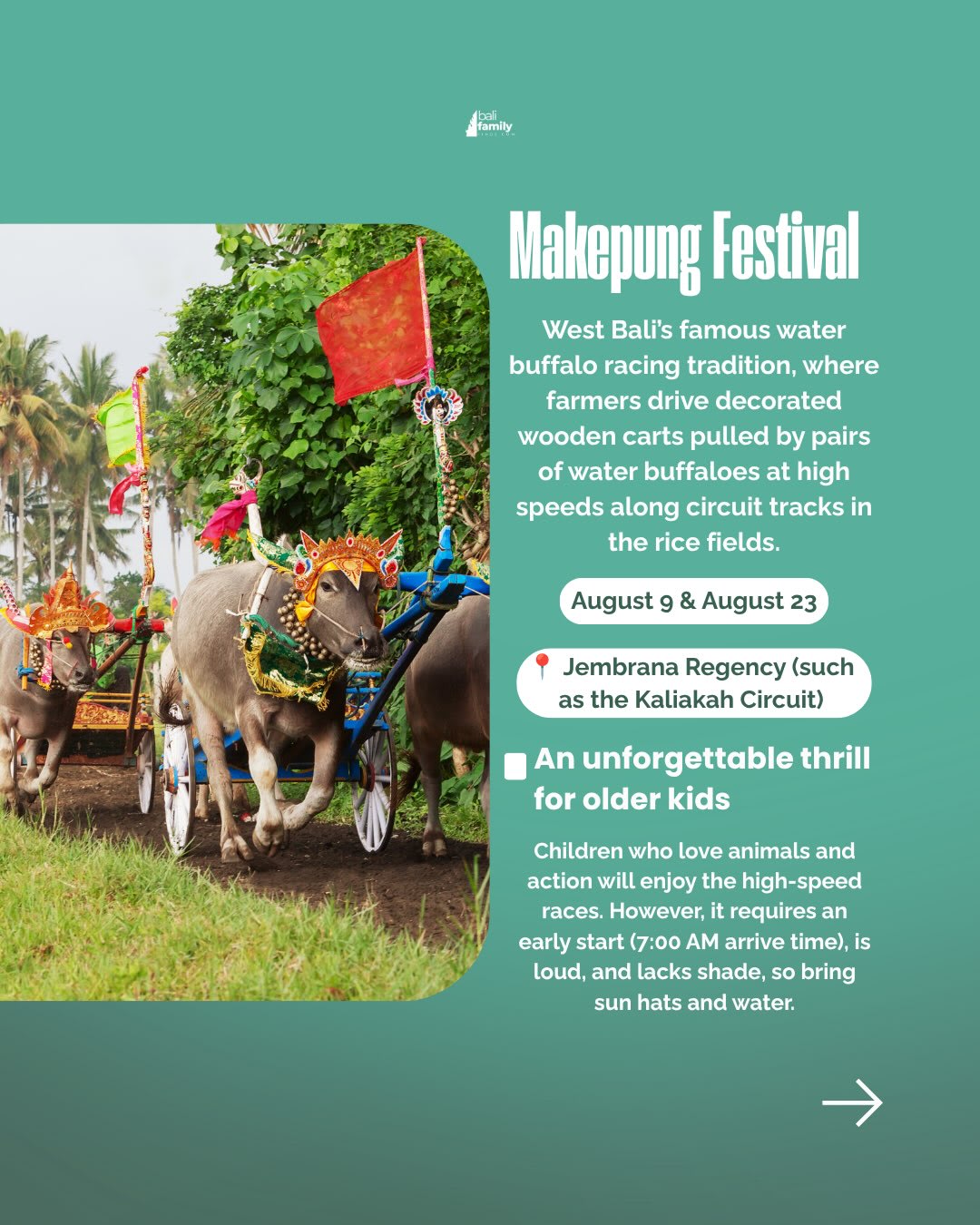 August Family Events in Bali: Kites and Celebrations — image 8