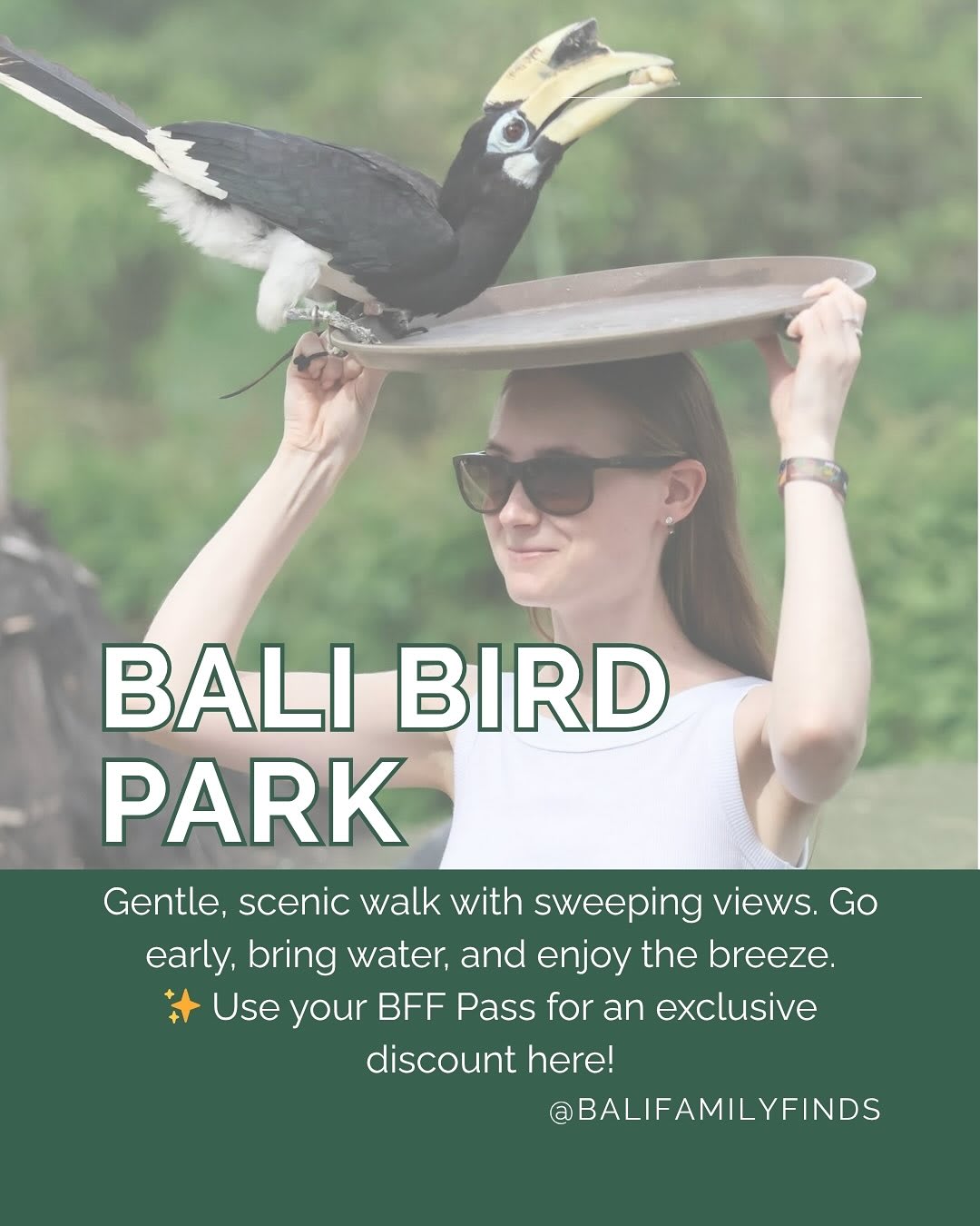 Discover Family Adventures in Ubud Beyond Rice Terraces — image 10