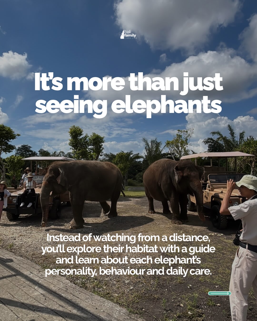 Explore Bali Zoo's New Elephant Adventure for Families — image 3